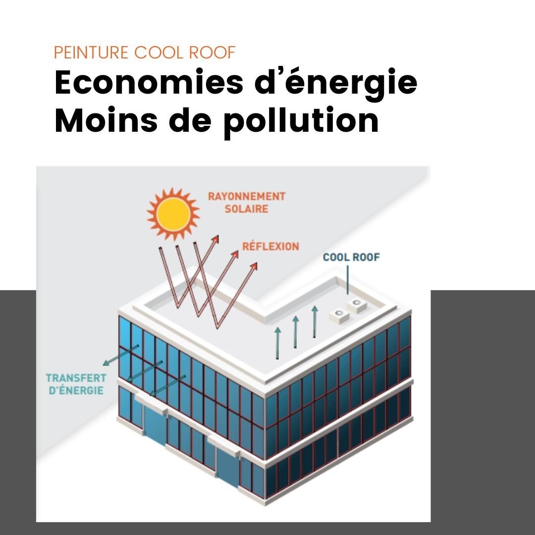 peinture cool roof Clean habitat 21